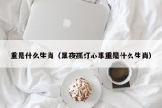 重是什么生肖（黑夜孤灯心事重是什么生肖）