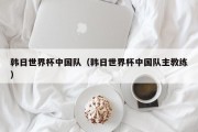 韩日世界杯中国队（韩日世界杯中国队主教练）