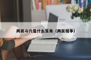 两鼠斗穴是什么生肖（两鼠相争）