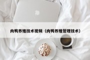 肉鸭养殖技术视频（肉鸭养殖管理技术）