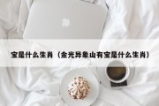 宝是什么生肖（金光异象山有宝是什么生肖）