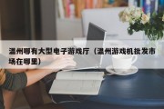 温州哪有大型电子游戏厅（温州游戏机批发市场在哪里）