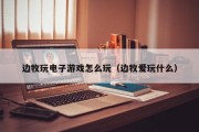 边牧玩电子游戏怎么玩（边牧爱玩什么）