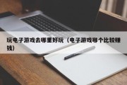 玩电子游戏去哪里好玩（电子游戏哪个比较赚钱）