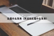 比是什么生肖（灵活无比是什么生肖）
