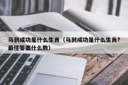 马到成功是什么生肖（马到成功是什么生肖?最佳答案什么数）