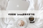 手游亚服（pupg亚服手游下载）