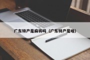 广东特产是麻将吗（广东特产是啥）