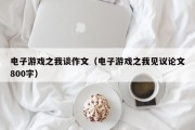 电子游戏之我谈作文（电子游戏之我见议论文800字）