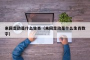来回走动是什么生肖（来回走动是什么生肖数字）
