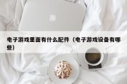 电子游戏里面有什么配件（电子游戏设备有哪些）