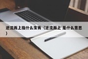 逆流而上指什么生肖（逆流而上 是什么意思）